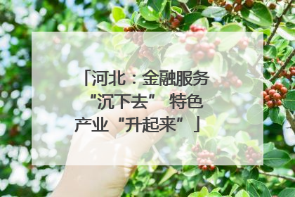 河北：金融服务“沉下去” 特色产业“升起来”