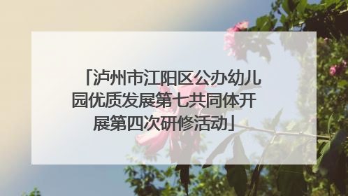 泸州市江阳区公办幼儿园优质发展第七共同体开展第四次研修活动