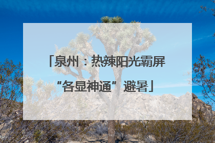 泉州：热辣阳光霸屏 “各显神通”避暑