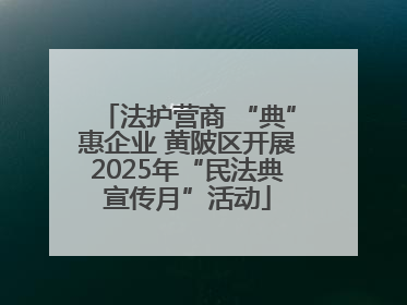 法护营商 “典”惠企业 黄陂区开展2025年“民法典宣传月”活动