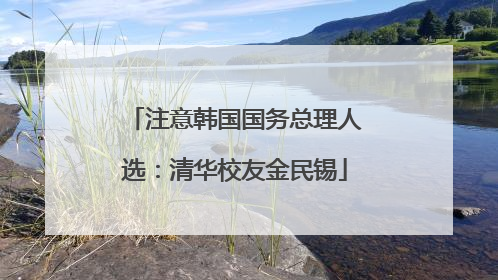 注意韩国国务总理人选：清华校友金民锡