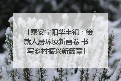泰安宁阳华丰镇：绘就人居环境新画卷 书写乡村振兴新篇章