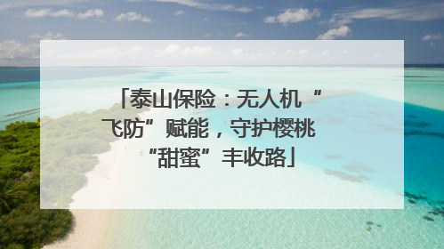 泰山保险：无人机“飞防”赋能，守护樱桃“甜蜜”丰收路