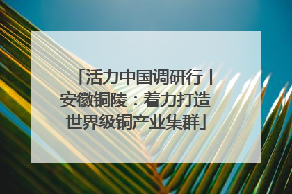 活力中国调研行丨安徽铜陵：着力打造世界级铜产业集群