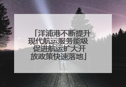 洋浦港不断提升现代航运服务能级 促进航运扩大开放政策快速落地