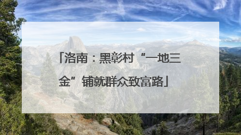 洛南：黑彰村“一地三金”铺就群众致富路
