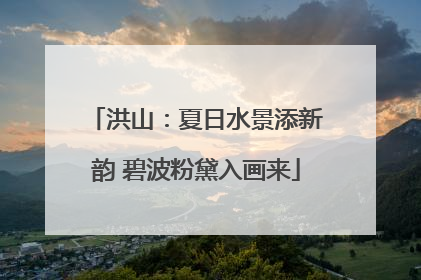 洪山：夏日水景添新韵 碧波粉黛入画来