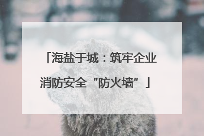 海盐于城：筑牢企业消防安全“防火墙”