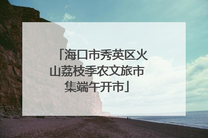海口市秀英区火山荔枝季农文旅市集端午开市