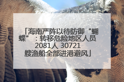 海南严阵以待防御“蝴蝶”：转移危险地区人员2081人 30721艘渔船全部进港避风