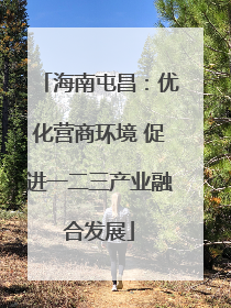 海南屯昌：优化营商环境 促进一二三产业融合发展