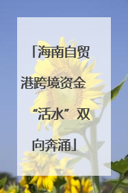 海南自贸港跨境资金“活水”双向奔涌