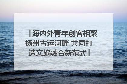 海内外青年创客相聚扬州古运河畔 共同打造文旅融合新范式
