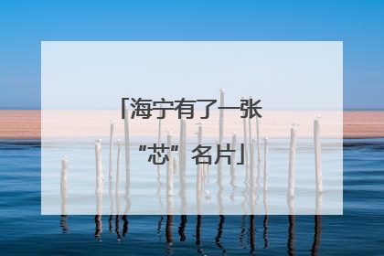海宁有了一张“芯”名片
