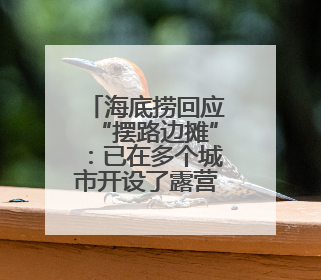 海底捞回应“摆路边摊”：已在多个城市开设了露营火锅等户外业态