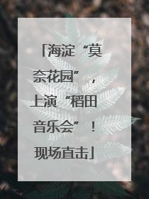 海淀“莫奈花园”，上演“稻田音乐会”！现场直击