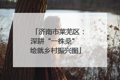 济南市莱芜区：深耕“一株桑” 绘就乡村振兴图