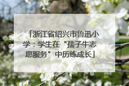 浙江省绍兴市鲁迅小学：学生在“孺子牛志愿服务”中历练成长