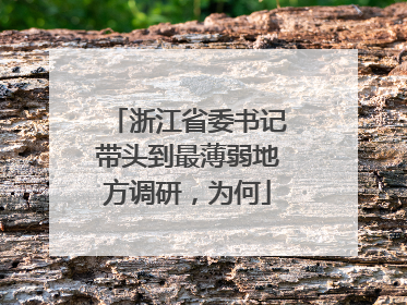 浙江省委书记带头到最薄弱地方调研，为何