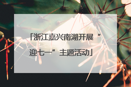 浙江嘉兴南湖开展“迎七一”主题活动