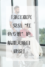 浙江嘉兴：党员“红色专班”护航重大项目建设