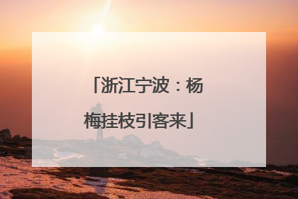 浙江宁波：杨梅挂枝引客来