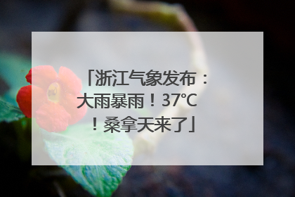 浙江气象发布：大雨暴雨！37℃！桑拿天来了