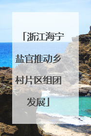 浙江海宁盐官推动乡村片区组团发展