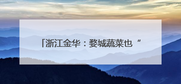 浙江金华:婺城蔬菜也“坐”上了飞机,无人机为乡村振兴插上“翅膀”