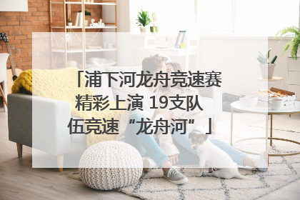 浦下河龙舟竞速赛精彩上演 19支队伍竞速“龙舟河”