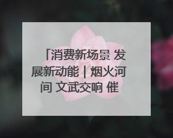 消费新场景 发展新动能｜烟火河间 文武交响 催生“美食+文化”消费新场景