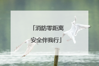 消防零距离 安全伴我行