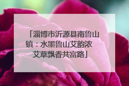 淄博市沂源县南鲁山镇：水墨鲁山艾韵浓 艾草飘香共富路