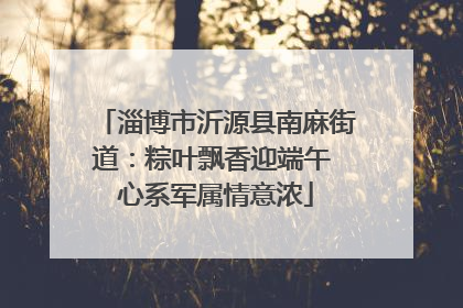 淄博市沂源县南麻街道：粽叶飘香迎端午 心系军属情意浓