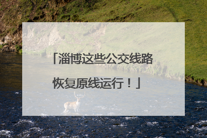 淄博这些公交线路恢复原线运行！