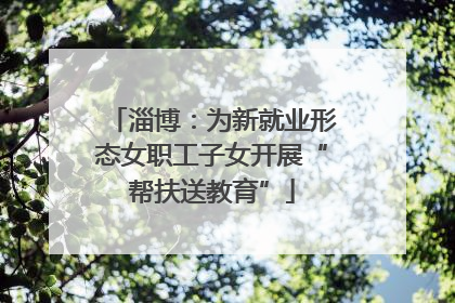 淄博：为新就业形态女职工子女开展“帮扶送教育”