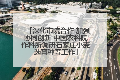 深化市院合作 加强协同创新 中国农科院作科所调研石家庄小麦选育种等工作