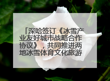 深哈签订《冰雪产业友好城市战略合作协议》，共同推进两地冰雪体育文化旅游高质量发展