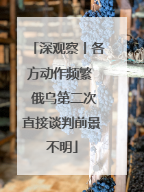 深观察丨各方动作频繁  俄乌第二次直接谈判前景不明