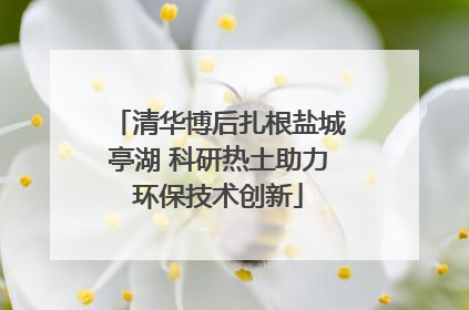 清华博后扎根盐城亭湖 科研热土助力环保技术创新