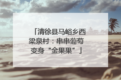 清徐县马峪乡西梁泉村：串串葡萄变身“金果果”