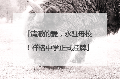 清澈的爱，永驻母校！祥榕中学正式挂牌