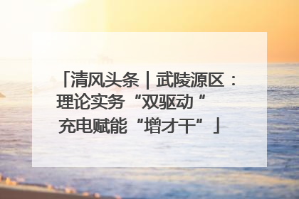 清风头条｜武陵源区：理论实务“双驱动 ” 充电赋能“增才干”
