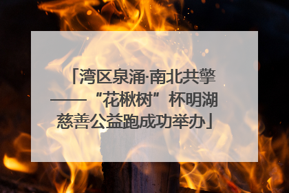 湾区泉涌·南北共擎——“花楸树”杯明湖慈善公益跑成功举办