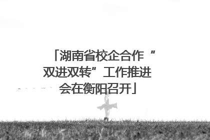 湖南省校企合作“双进双转”工作推进会在衡阳召开