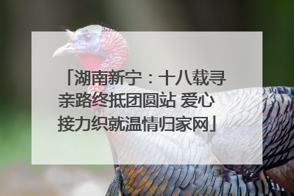 湖南新宁：十八载寻亲路终抵团圆站 爱心接力织就温情归家网
