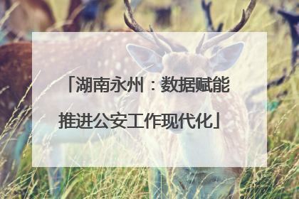 湖南永州：数据赋能推进公安工作现代化