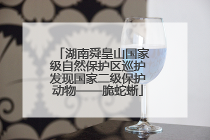 湖南舜皇山国家级自然保护区巡护发现国家二级保护动物——脆蛇蜥
