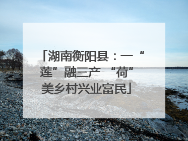 湖南衡阳县：一“莲”融三产 “荷”美乡村兴业富民