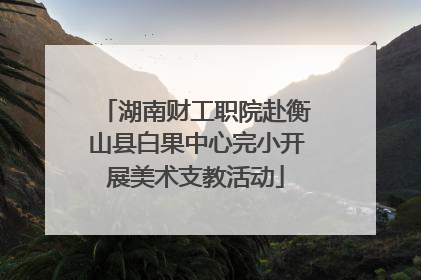 湖南财工职院赴衡山县白果中心完小开展美术支教活动
